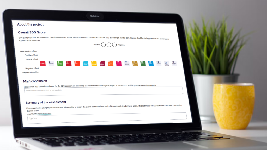 SDG Tool summary pc