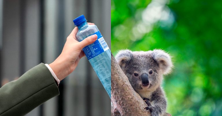 En godt kjent panteløsning i nord er nå lansert down under.